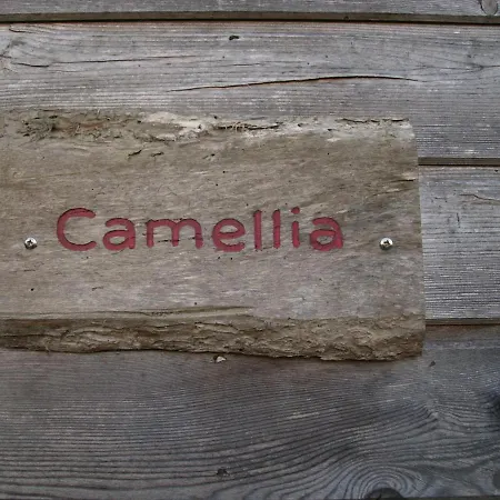 Camellia Casa vacanze *