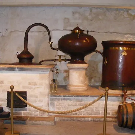 Camellia * Cherbonnieres (Charente-Maritime)