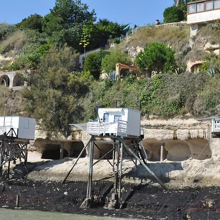 Camellia Hébergement de vacances