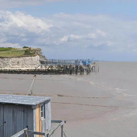Camellia * Cherbonnieres (Charente-Maritime)