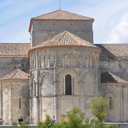 Camellia * Cherbonnieres (Charente-Maritime)